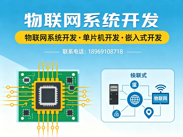 泉州智能硬件开发嵌入式AI开发解决方案：物联网系统开发服务指南